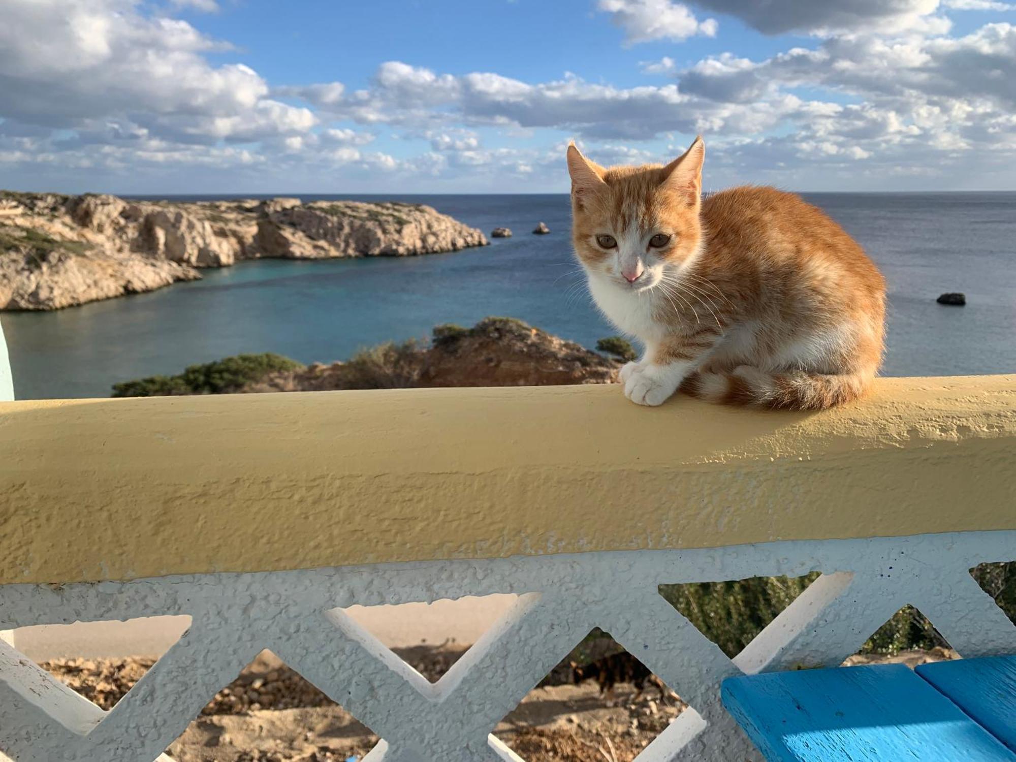 Studios Fokia Beach Amoopi Buitenkant foto